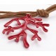 Starfish, Shell and Coral Pendant Necklace Galapagos