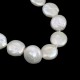 Natural White Freshwater Coin Pearls Bracelet with Silver Clasp