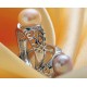 925 Sterling Silver Natural Freshwater Pearl Adjustable Ring
