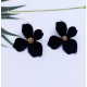 Stud Earrings With Flower, Different Colors