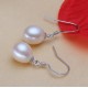 Natural Freshwater Pearl Earrings With 925 Sterling Silver