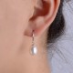 Natural Water Drop Black Freshwater Pearl Earrings