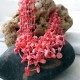 Collar artesanal de Coral natural rosa diseño multicapas